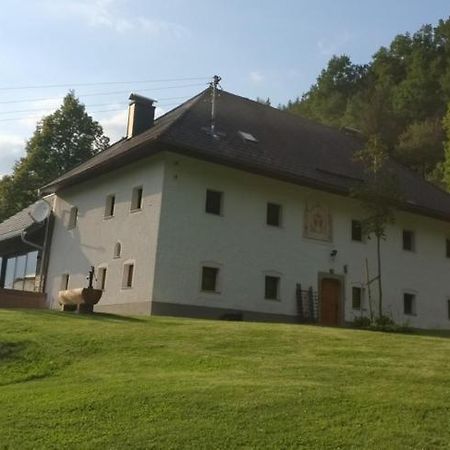 Ferienwohnung Schlosek In Der Nationalparkregion Kalkalpen Forstau  Exterior photo