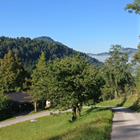 Ferienwohnung Schlosek In Der Nationalparkregion Kalkalpen Forstau  Exterior photo